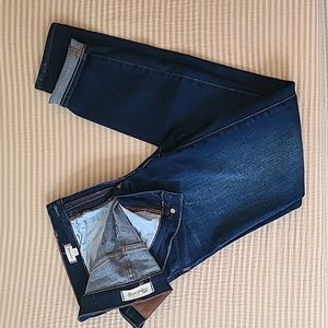 Madewell Roadtripper Jean